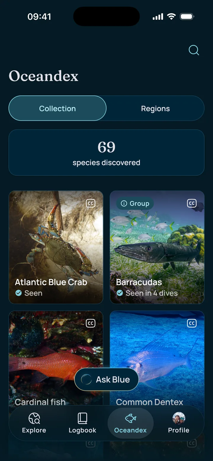 The Into the Blue map with dive sites